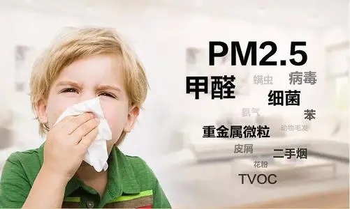 PM2.5，「杀人」于无形